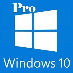 windows-10-pro-with-office-2019-logo-1319365